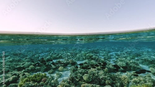 Split view half underwater coral reef with school of fish and distant mountains on horizon