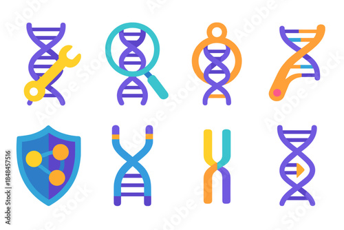 Genetic Stability Icons. Genetic stability mechanisms flat set: DNA repair complex, mismatch detection unit, helicase icon, ligase tool, chromatin shield, telomere cap, nucleotide