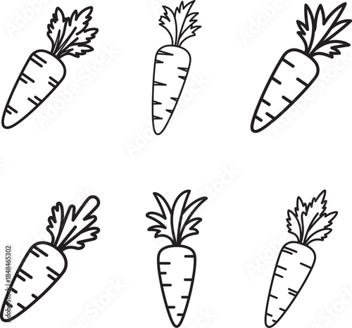 Line art illustration of six whole carrots with leafy tops