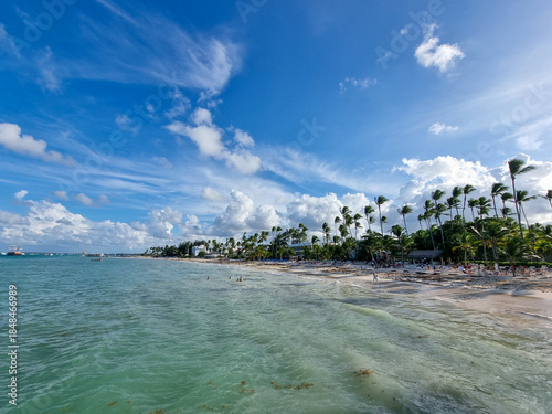 Sandy Caribbean beach. A paradise sandy beach with palm trees on the Caribbean coast.