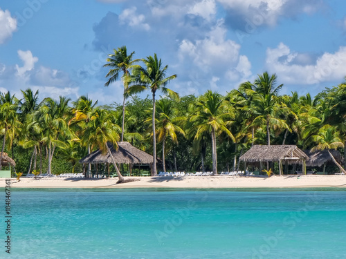 Sandy Caribbean beach. A paradise sandy beach with palm trees on the Caribbean coast.