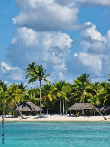 Sandy Caribbean beach. A paradise sandy beach with palm trees on the Caribbean coast.
