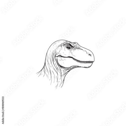 tyrannosaurus rex Head
