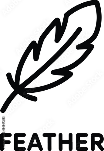Feather Illustration on White Background Simple Design