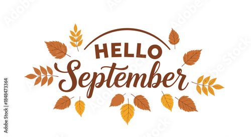 Hello september autumn leaves vector graphic design for fall season celebration month template