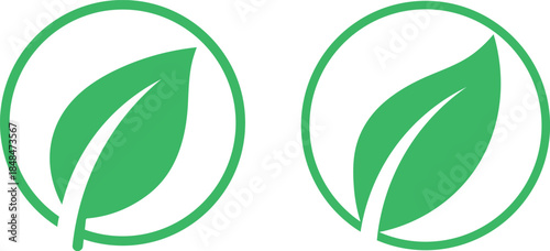 Two green leaf within circles on white background nature organic
