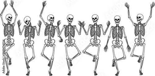 Seven Human Skeletons Posing and Moving in Fun, Humorous, and Lively Halloween Theme Art