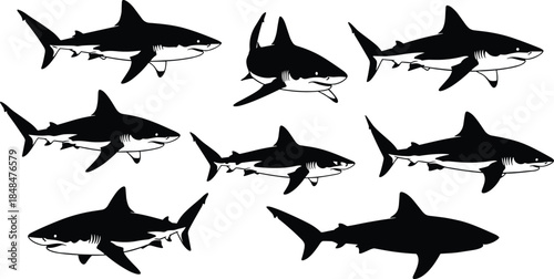 Shark silhouettes set, vector illustration collection of dangerous sea animals, great white shark swimming, predator fish figures isolated on white 