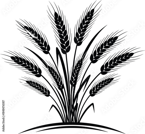 Sheaf of mature wheat or rye ears silhouette growing from the ground, symbolizing agriculture, harvest, grain, and bakery, black vector illustration.