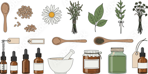 Apothecary natural herbal remedy and essential oil vector set, featuring chamomile, mortar and pestle, droppers, spoons, and jars, for natural medicine and cosmetic design.