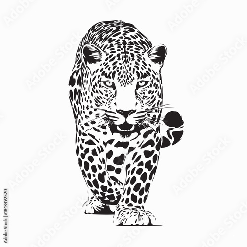 Walking Leopard Hand Drawn Style Image Vector on white Background