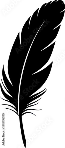 Black Feather Silhouette Isolated.
