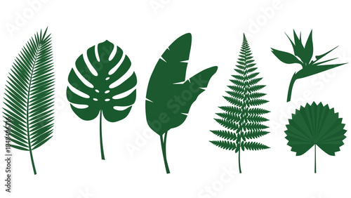 A collection of stylized silhouettes of various tropical leaves and a bird of paradise flower, representing nature's vibrant flora