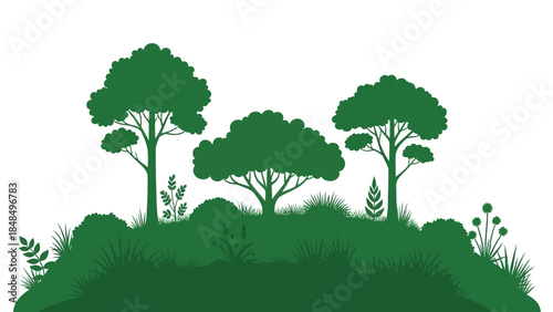 Serene Forest Scene with Lush Greenery and Diverse Trees in Silhouette