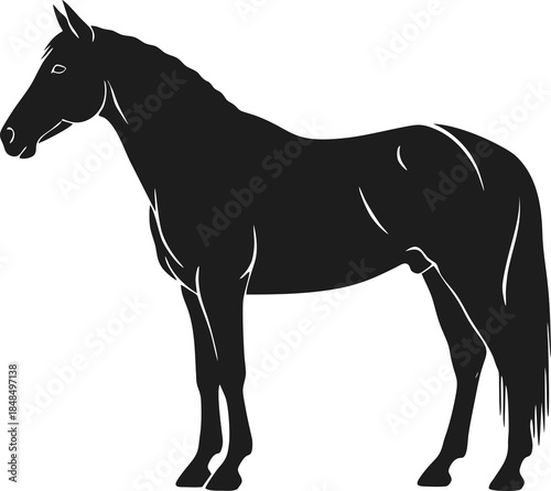 Black Silhouette of a Horse.