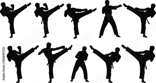Silhouette illustration of ten martial artists performing high kicks, dynamic karate and taekwondo poses for sports and training design