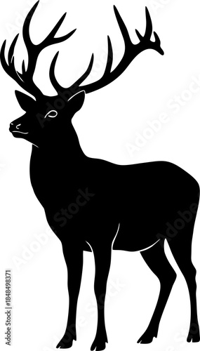 Silhouette of Deer with Antlers.