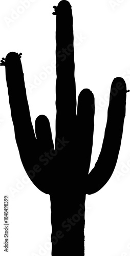 Silhouette of Saguaro Cactus Plant.