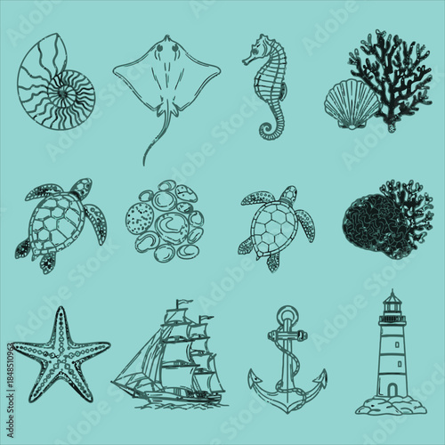 Oceanic illustrations for coastal designs