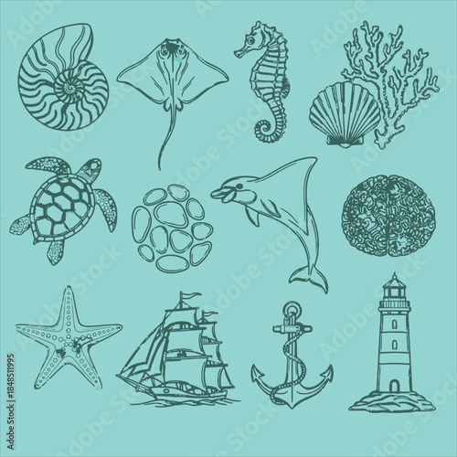 Oceanic illustrations for coastal designs