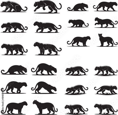 set of silhouettes of women jumping and posing in various dynamic movements