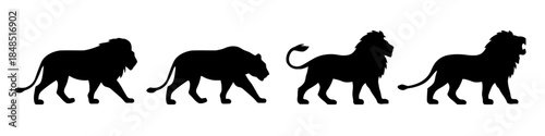 Group of Black Silhouettes of Lions Walking in Various Poses