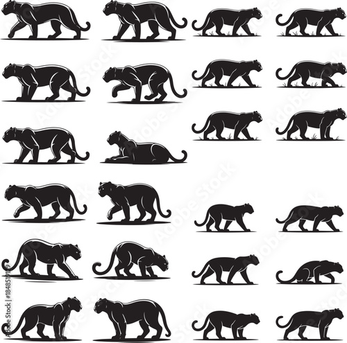 “Powerful Panther Silhouette Collection – Black Panther, Shadow Panther, Night Panther & Predator Silhouettes”