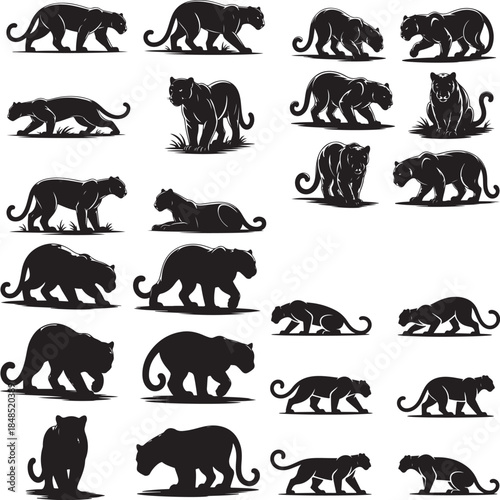 “Powerful Panther Silhouette Collection – Black Panther, Shadow Panther, Night Panther & Predator Silhouettes”