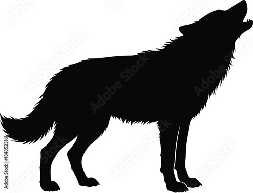 Howling wolf silhouette illustration, wild animal predator vector isolated on white background, wildlife nature black design concept