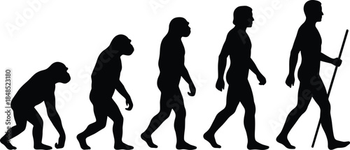 Human evolution silhouette illustration showing ape to modern man progression, black and white vector art for science education concept