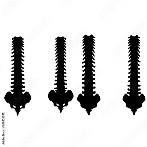 Wallpaper Mural silhouett3e of a spinaol cord of a men and women Torontodigital.ca