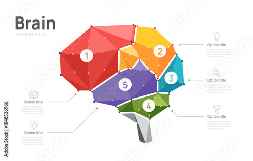 Creative geometric brain infographic template with 5 steps. Colorful low poly vector illustration for business, education, and psychology presentation.