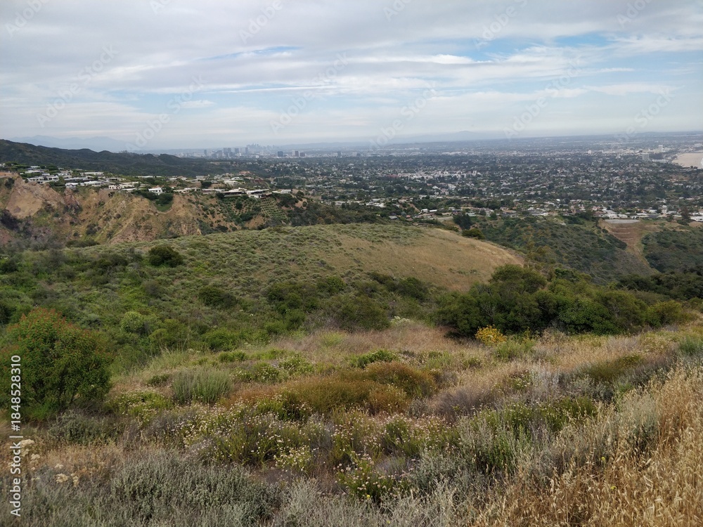 Fototapeta premium Rolling hills with distant city skyline under cloudy sky
