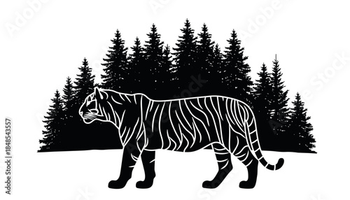 Black and white illustration of a majestic tiger walking in front of a dense forest of evergreen trees.