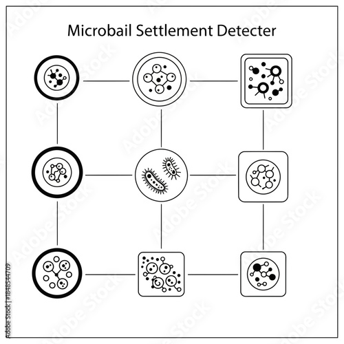 A vibrant close-up of a professional photographer using a modern camera to capture high-quality stock photography in a bright outdoor setting