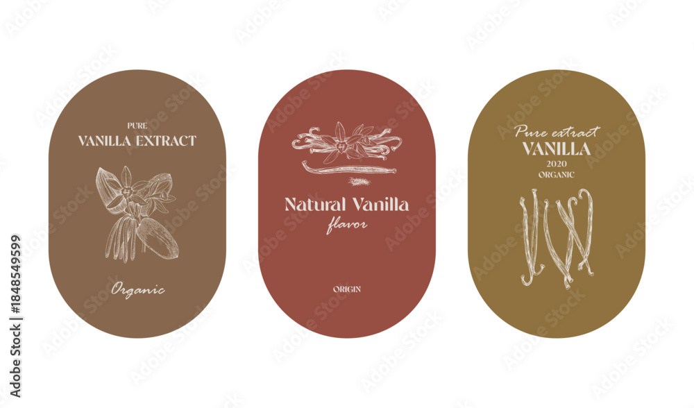 Fototapeta premium Vanilla labels collection in vintage style