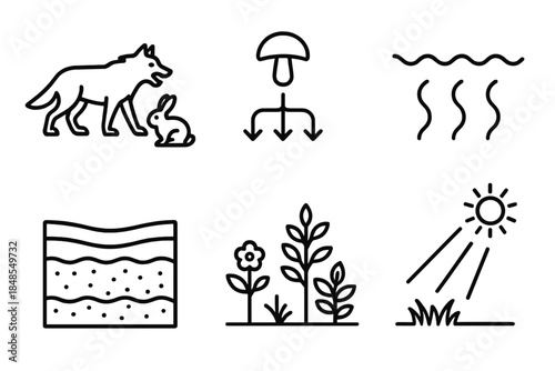 Nature's Cycle Icons. Eco-Balanced Systems linear set: predator-prey silhouettes, decomposer symbol, water flow line, fertile ground, mixed vegetation, sunlight beam.