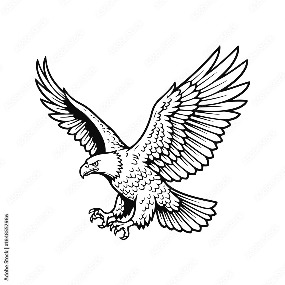 Fototapeta premium Black and white silhouette of a flying eagle with spread wings, clean contours and dynamic pose on white background. flying eagle, eagle silhouette, bird of prey, wild raptor, soaring bird