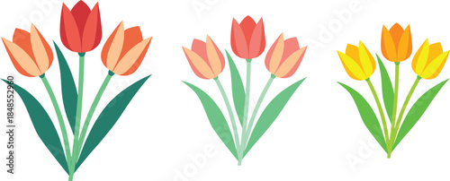 Tulip Flower Illustration Set – Minimal Spring Floral Designs
