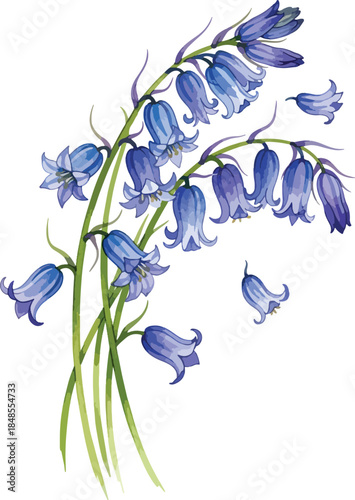Graceful watercolor illustration of cascading bluebell flowers in various shades of blue and purple. , Generative Ai