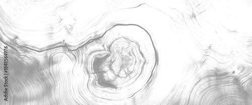 Vector Abstract Wood Organic Monochrome Line Texture for Modern Design