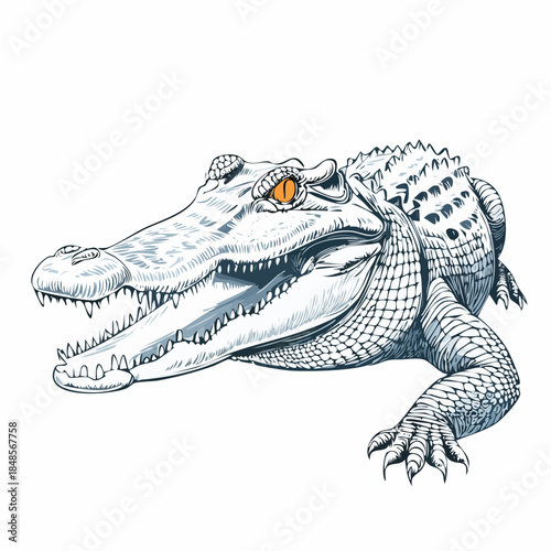 Blue-toned crocodile illustration with detailed scales