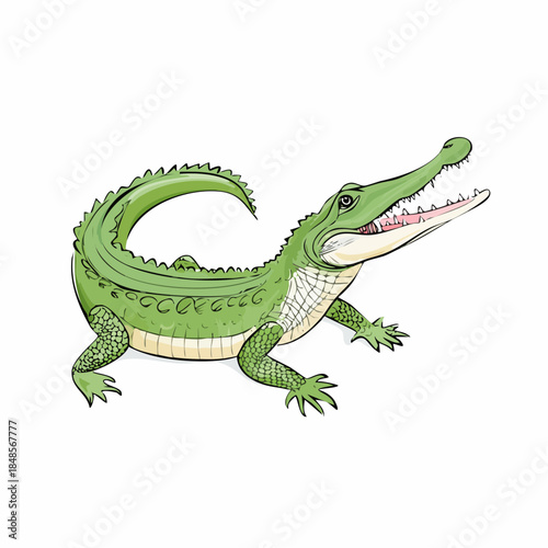 Detailed illustration of crocodile with green scales and tail