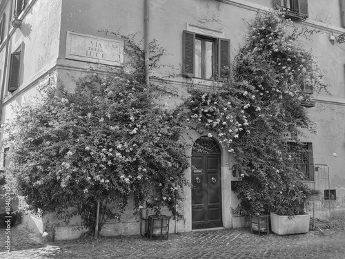 Rome, Italy - July 25, 2025, view of an ancient and typical Roman building with climbing plants on the wall above the entrance door, in the heart of Trastevere and Rome.