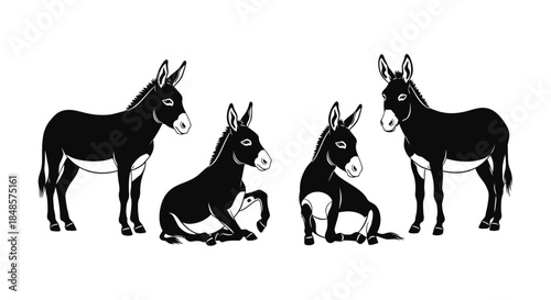 Donkeys standing and sitting with transparent background