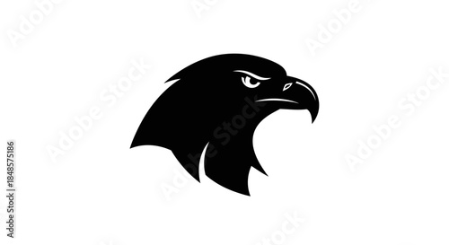 Eagle head silhouette with transparent background