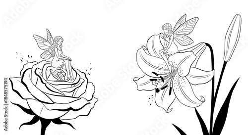 Fairies resting on roses and lilies