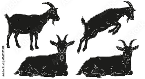 Goats in various poses with transparent background
