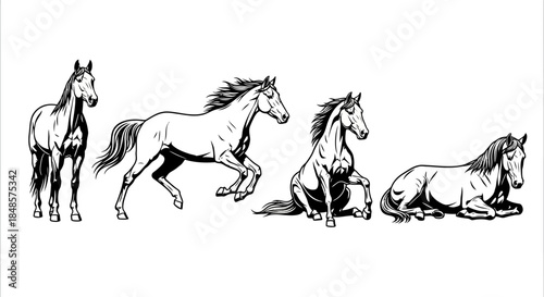 Horse poses outline sequence for design