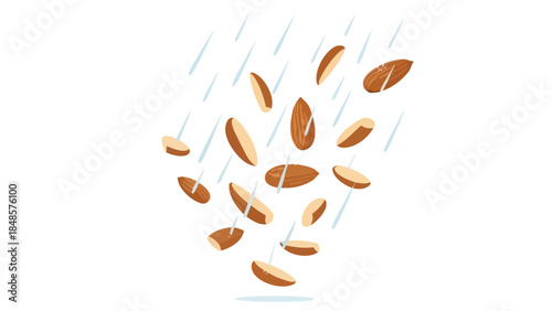 Stylized illustration of brazil nuts gracefully falling through delicate rain on a bright white background, conveying natural freshness and healthy